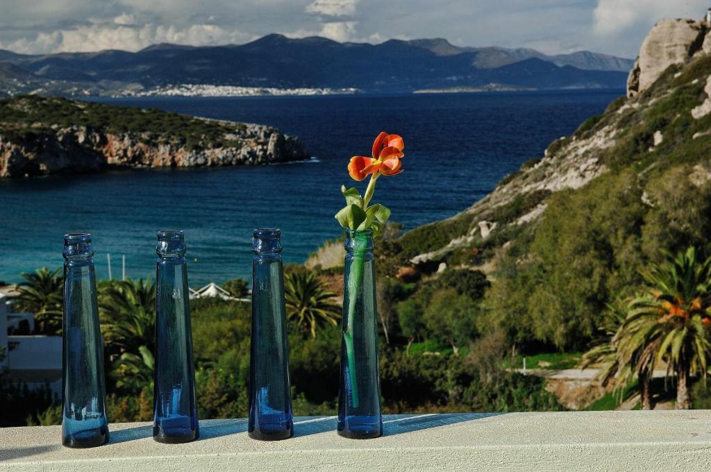Villa Collection